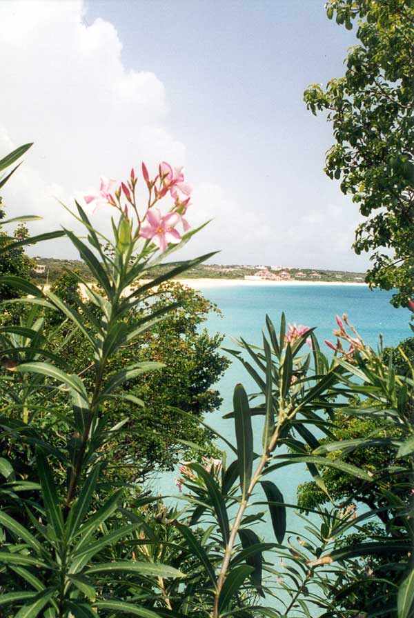 beaches,weddings,honeymoons,watersports,festivals,romance,accommodations,cuisine,sea,scuba diving,snorkelling,security,tranquility,beaches,caribbean,carnivals,inns,security,sightseeing,oceans,villas,exclusive,luxury,guesthouses,tranquility,quality,boatracing,charters