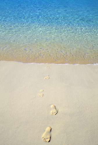 beaches,weddings,honeymoons,watersports,festivals,romance,accommodations,cuisine,sea,scuba diving,snorkelling,security,tranquility,beaches,caribbean,carnivals,inns,security,sightseeing,oceans,villas,exclusive,luxury,guesthouses,tranquility,quality,boatracing,charters