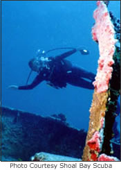beaches,weddings,honeymoons,watersports,festivals,romance,accommodations,cuisine,sea,scuba diving,snorkelling,security,tranquility,beaches,caribbean,carnivals,inns,security,sightseeing,oceans,villas,exclusive,luxury,guesthouses,tranquility,quality,boatracing,charters