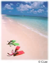 beaches,weddings,honeymoons,watersports,festivals,romance,accommodations,cuisine,sea,scuba diving,snorkelling,security,tranquility,beaches,caribbean,carnivals,inns,security,sightseeing,oceans,villas,exclusive,luxury,guesthouses,tranquility,quality,boatracing,charters